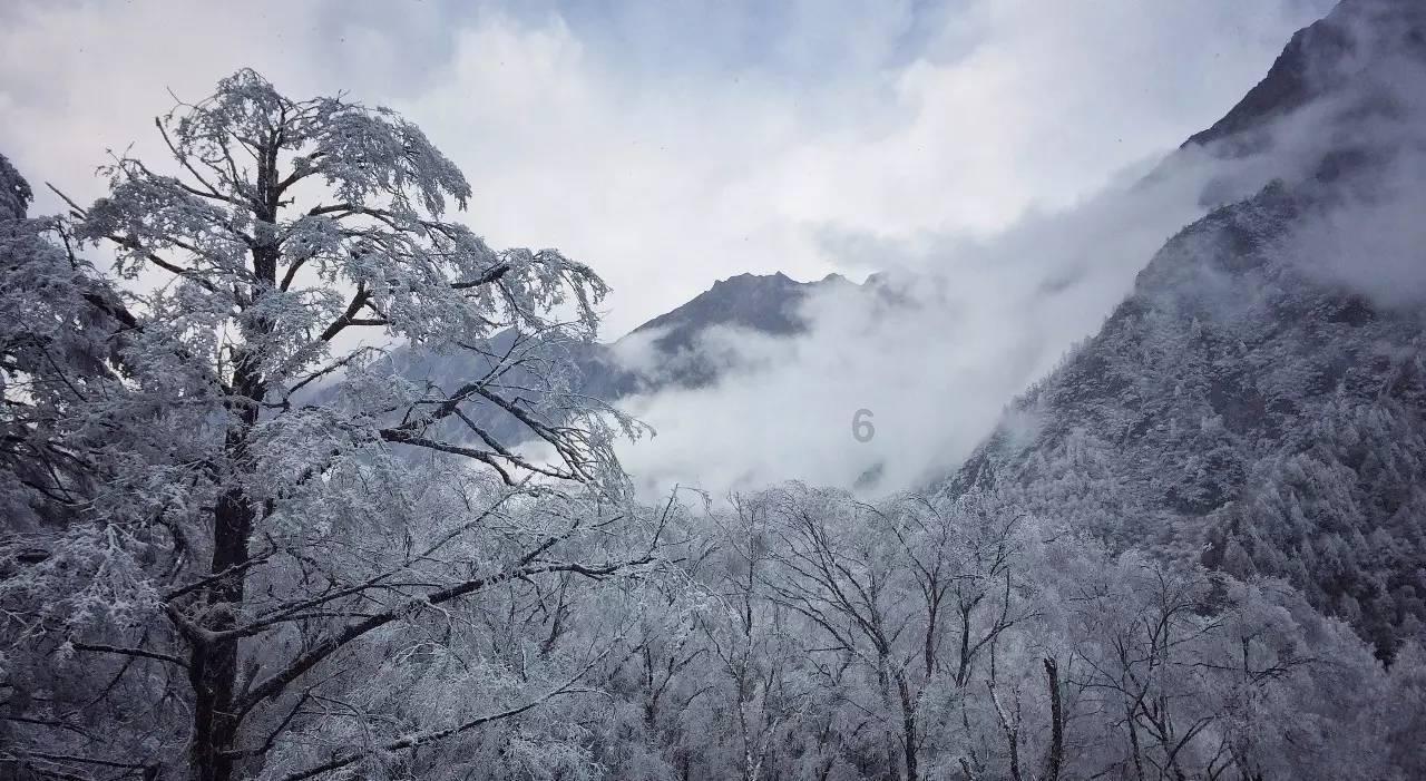 加勒比海度假村