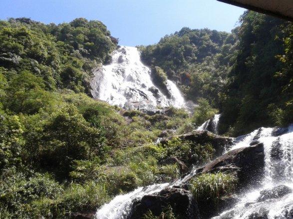 沪江开心词场